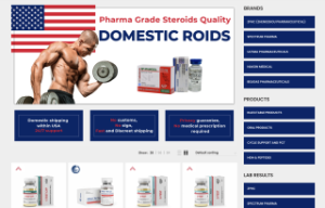 domesticroids.com