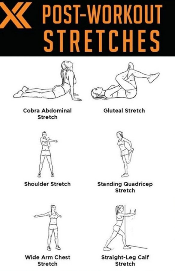 Recovery Tips for USA Lifters