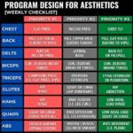 muscle gain workout plan