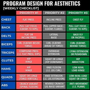 muscle gain workout plan