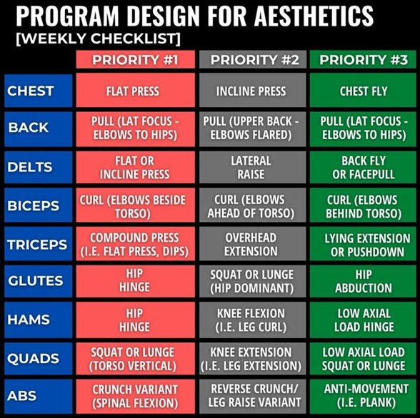 muscle gain workout plan