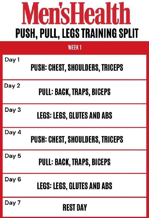 push pull legs routine