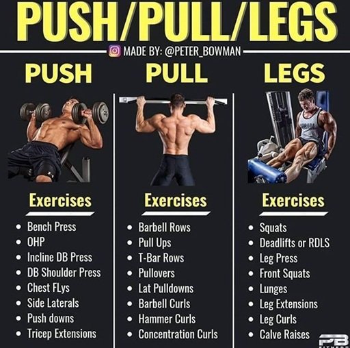 push pull legs routine