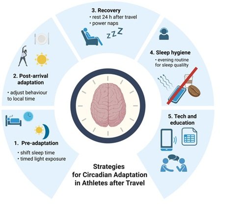 How Poor Sleep Kills Gains