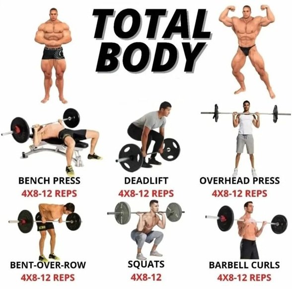 Muscle Growth workout plan