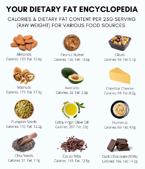 carbs vs fats for muscle gain