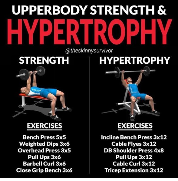 how to gain muscle fast