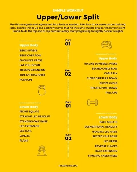 muscle gain workout plan