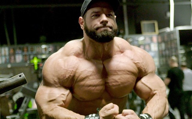 muscle gain workout plan