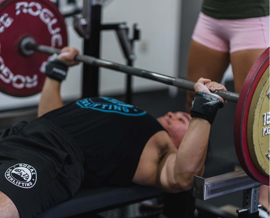 muscle growth science