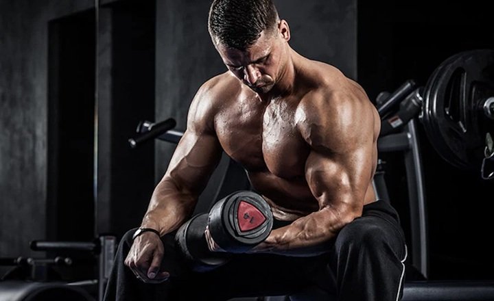 muscle growth science
