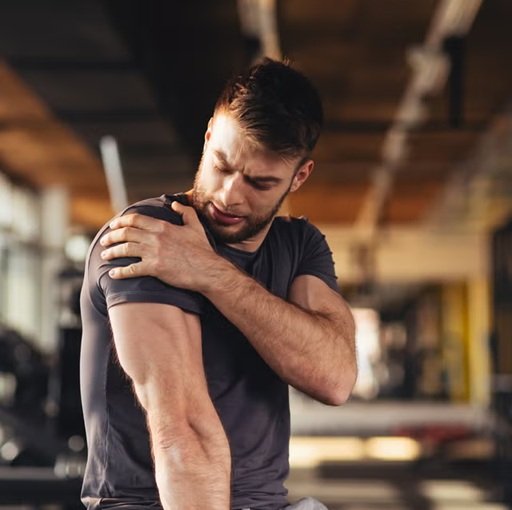 muscle growth science