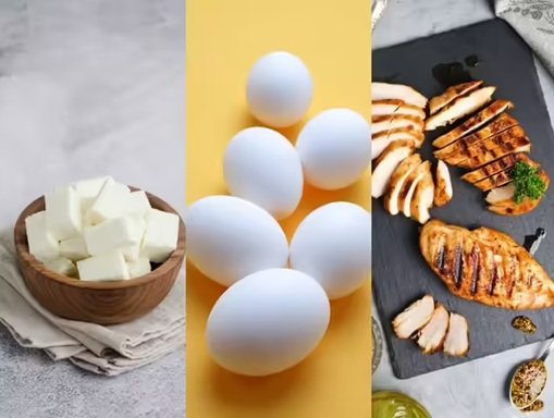 muscle growth science protein intake